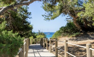 Las Salinas beach (Ses Salines)